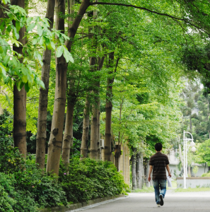 校園圖片學生在校園