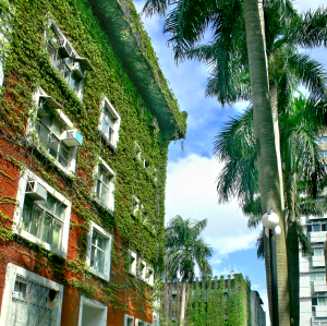 校園圖片土木館校景